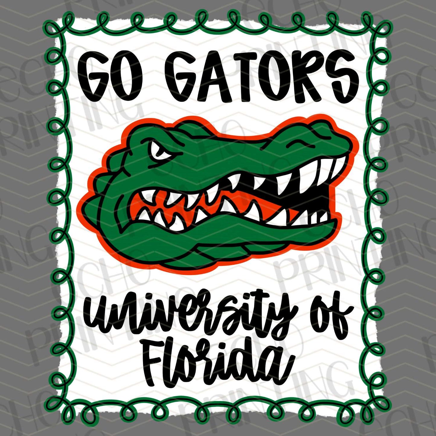 CGM 11 - FLORIDA