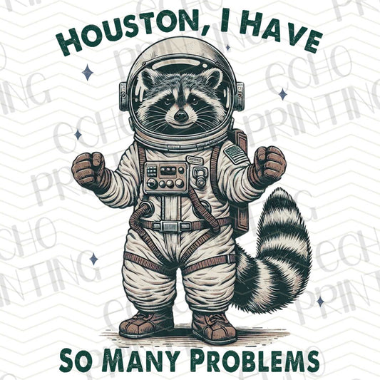 FSS 15 - HOUSTON, I HAVE SO MANY PROBLEMS