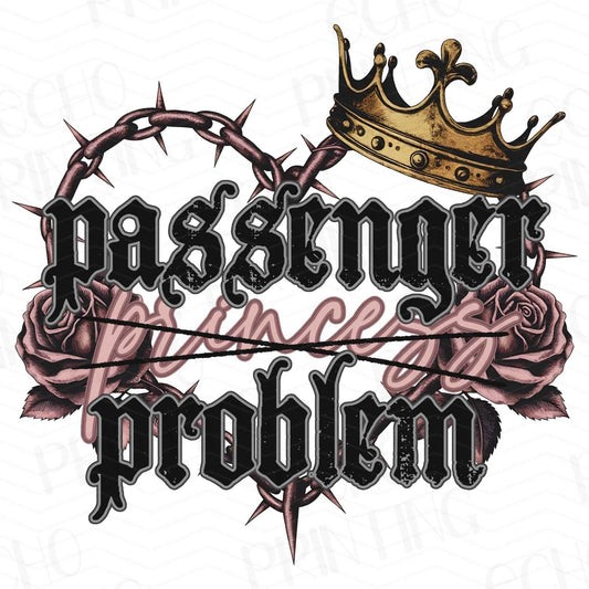 FSS 151 - PASSENGER PROBLEM