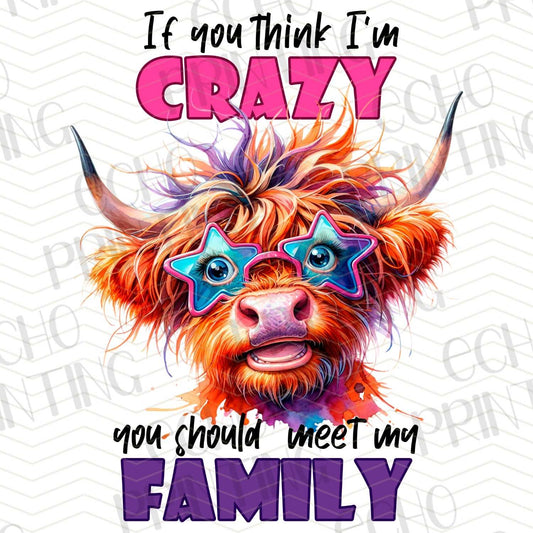 FSS 16 - IF YOU THINK I'M CRAZY YOU SHOULD MEET MY FAMILY