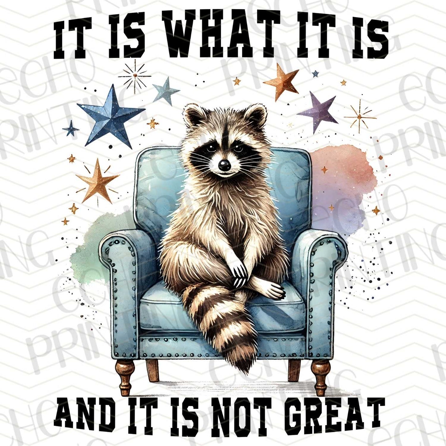 FSS 219 - IT IS WHAT IT IS AND IT IS NOT GREAT