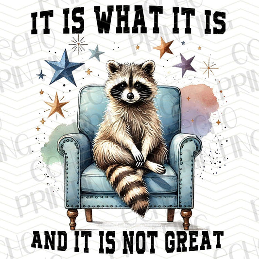 FSS 219 - IT IS WHAT IT IS AND IT IS NOT GREAT