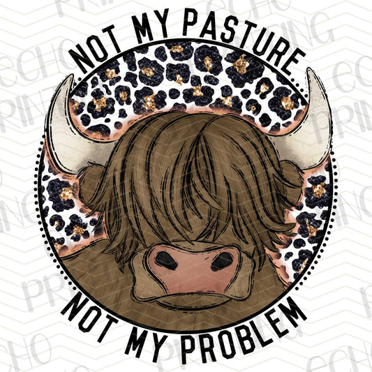 FSS 231 - NOT MY PASTURE NOT MY PROBLEM
