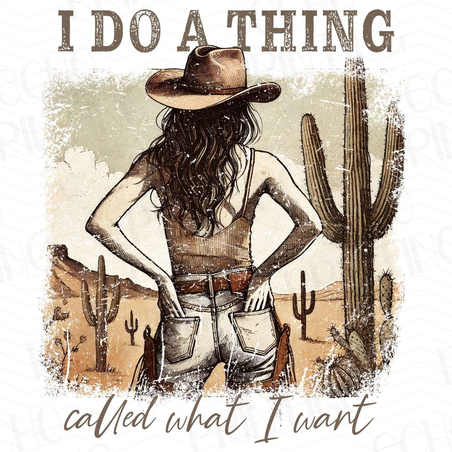 WSTNG 2 - I DO WHAT I WANT
