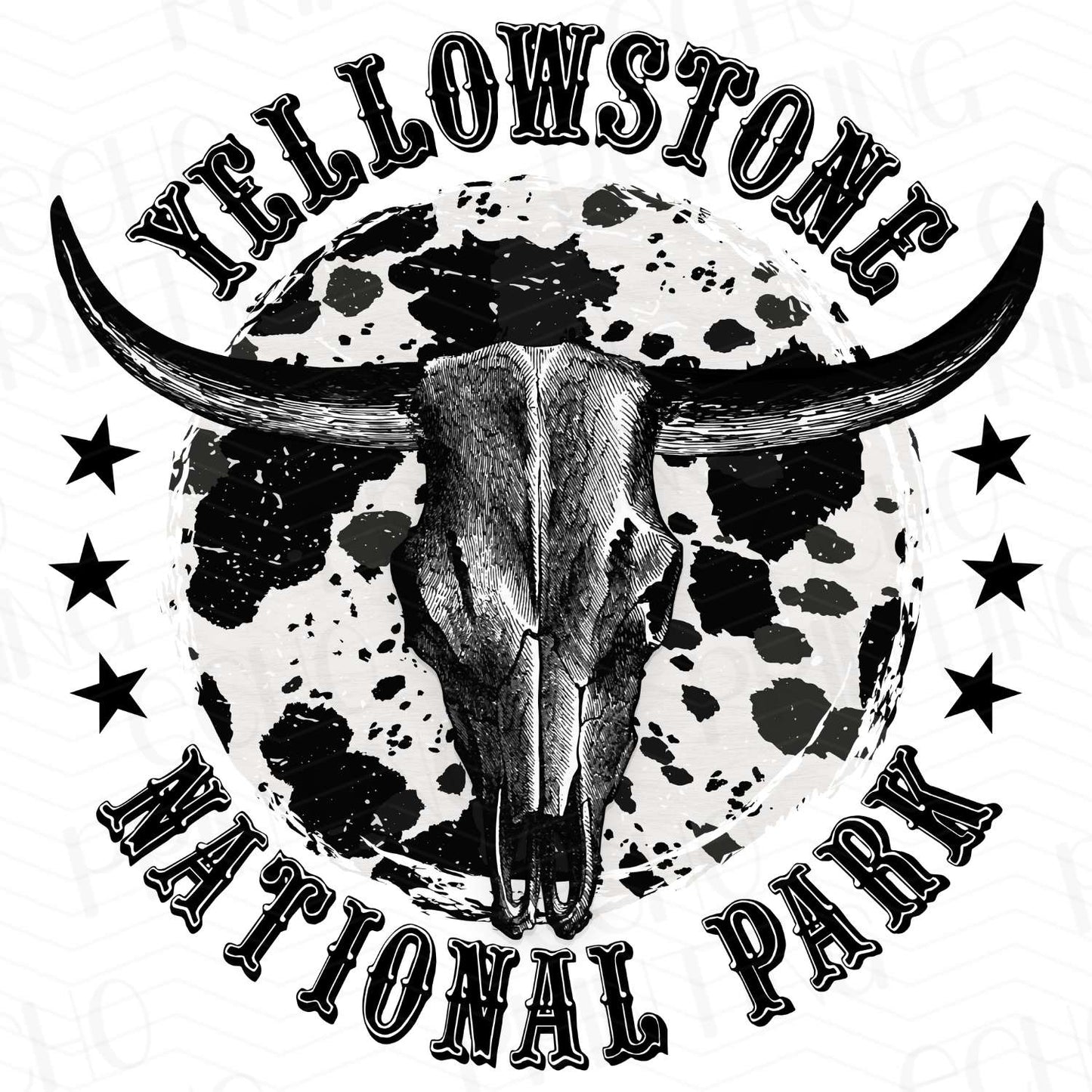 WSTN 30 - YELLOWSTONE NATIONAL PARK SKULL