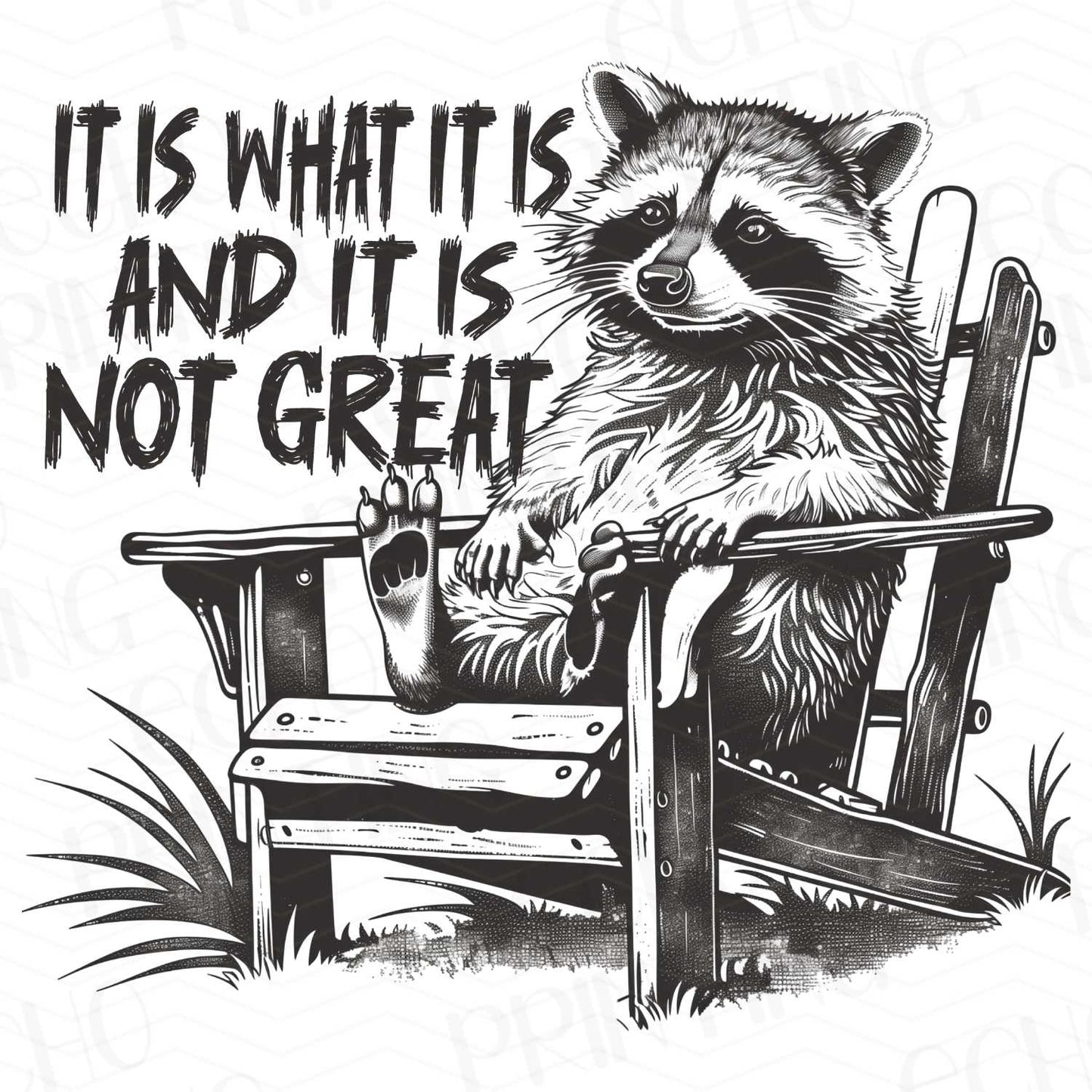 FSSG 30 – IT IS WHAT IT IS RACCOON