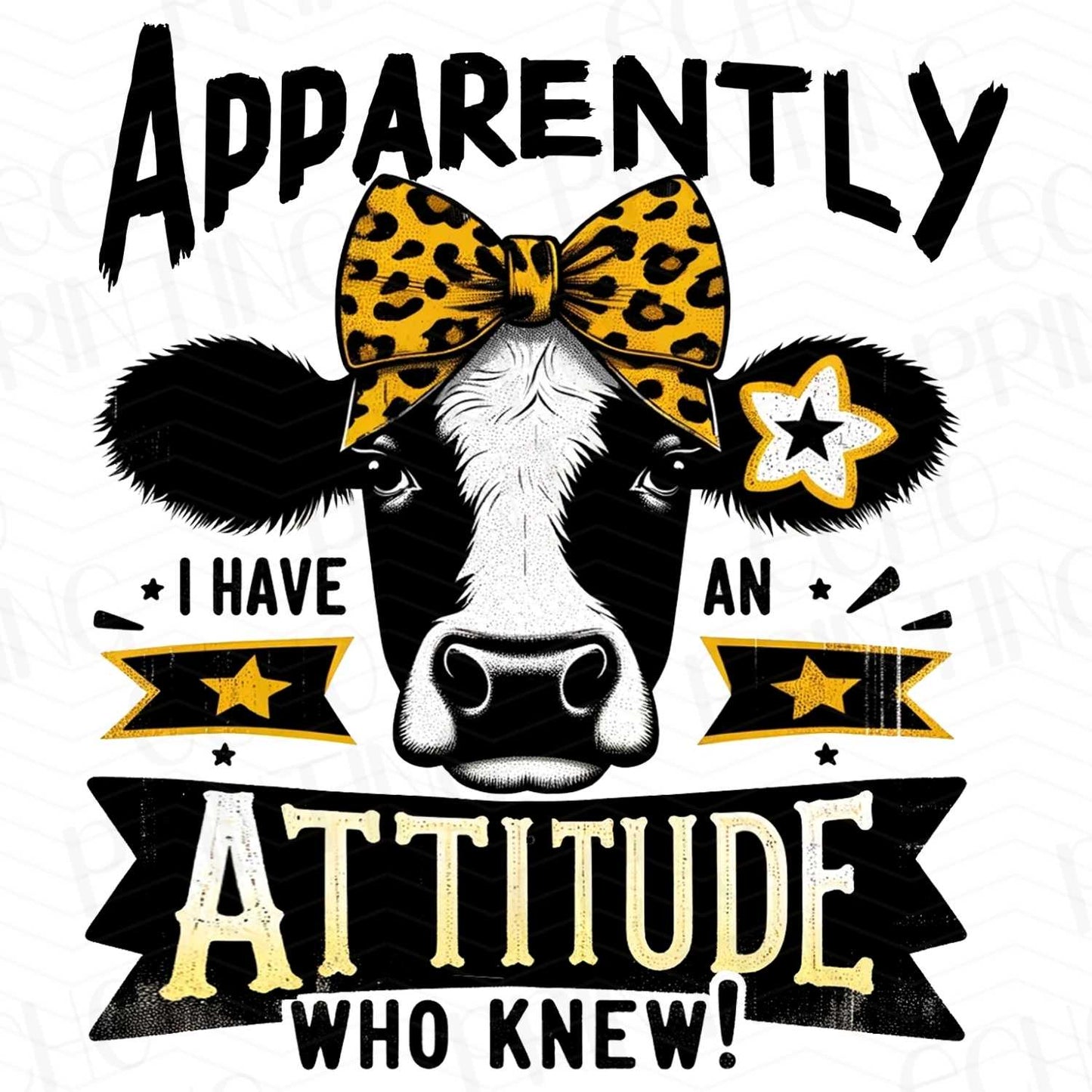 FSS 76 - APPARENTLY I HAVE AN ATTITUDE WHO KNOW!!