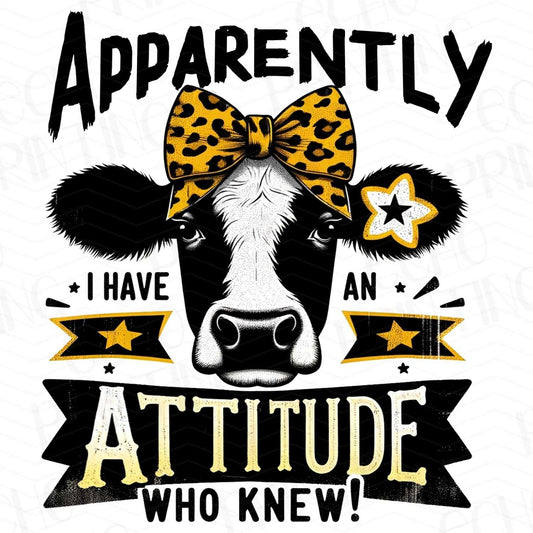 FSS 76 - APPARENTLY I HAVE AN ATTITUDE WHO KNOW!!