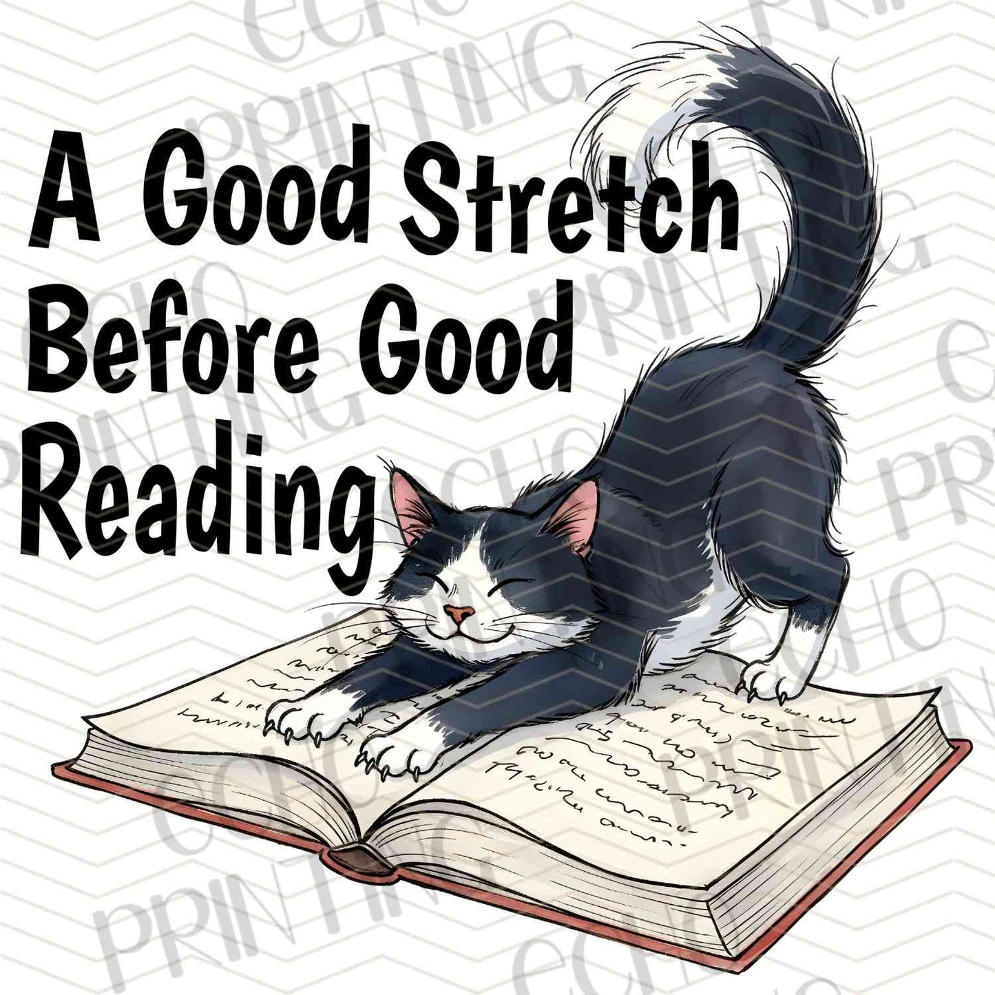 BKG 194 – STRETCH READING CAT