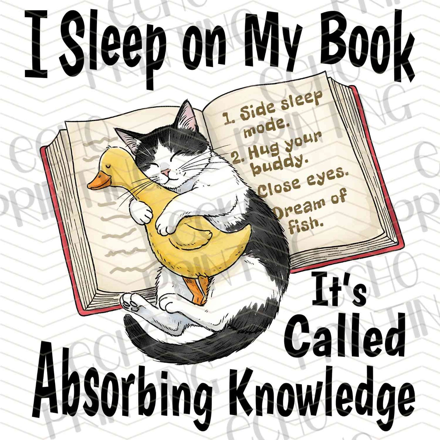 BKG 210 – SLEEPING ON BOOK CAT