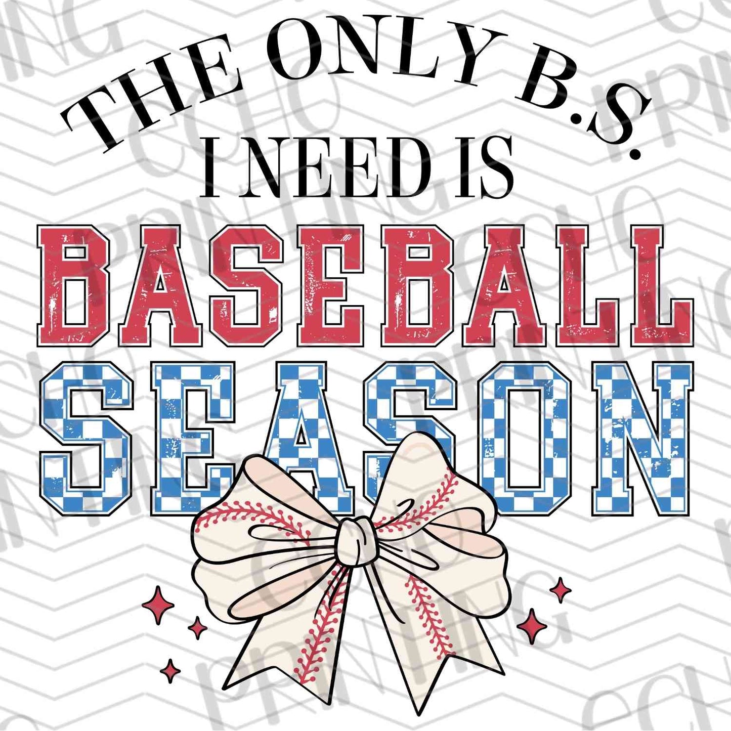 BSBG 161 - BASEBALL SEASON B.S.