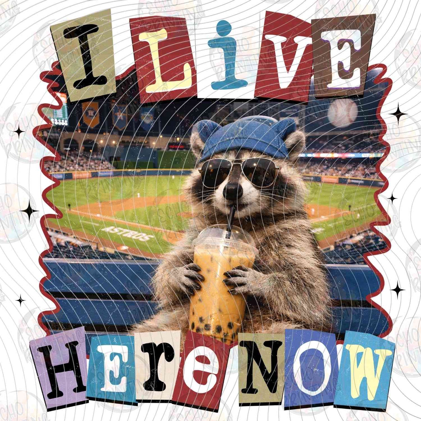 BSBG 488 - I LIVE HERE NOW RACCOON