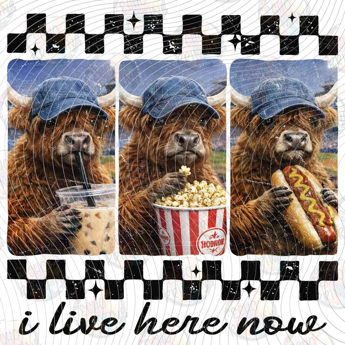 BSBG 494 - LIVE HERE NOW HIGHLAND COW CHECKER