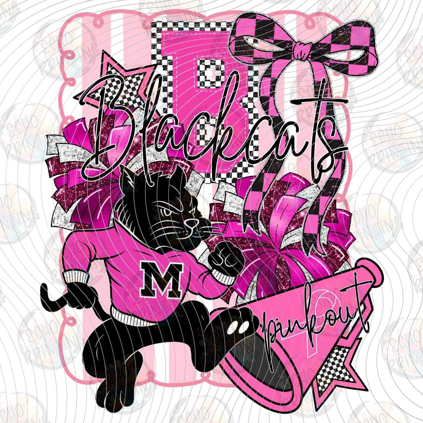 CGM 175 - WILDCATS CHEER
