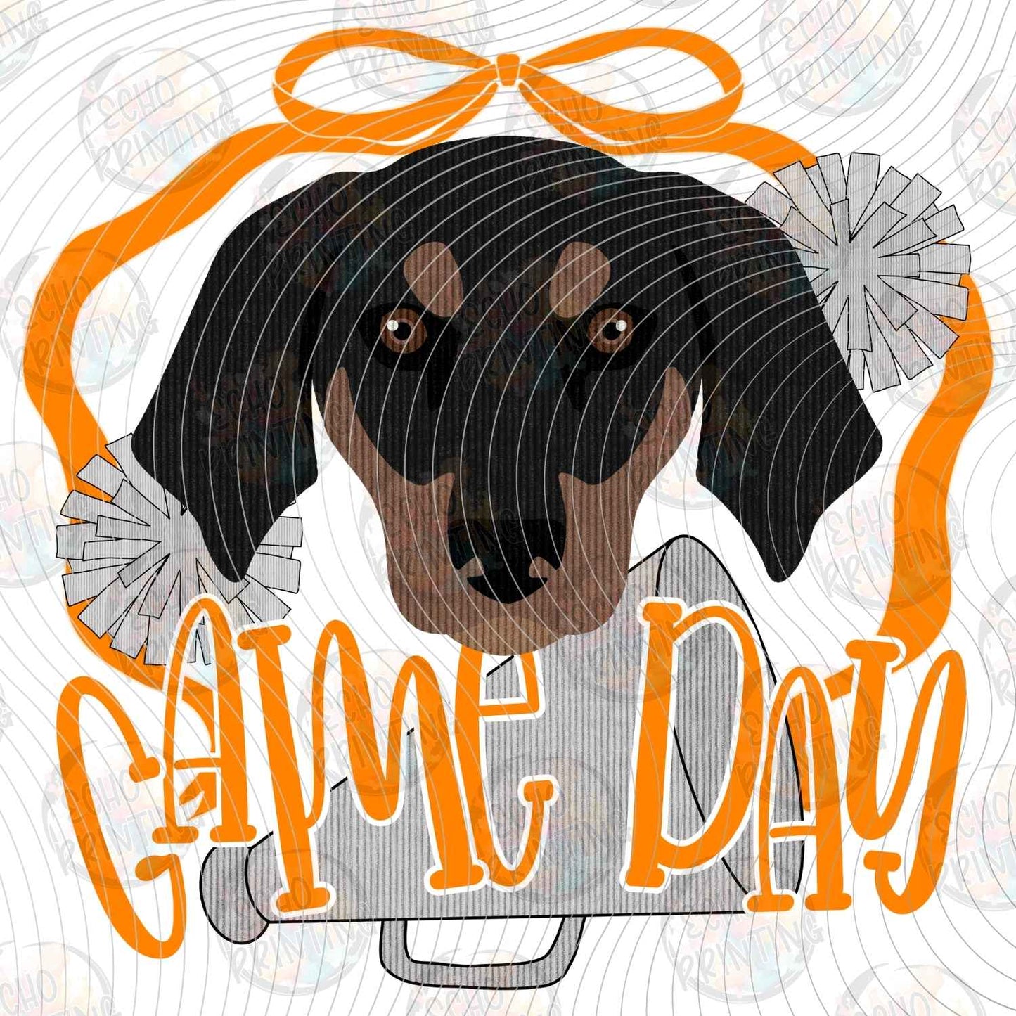 CGM 313 - BEAR