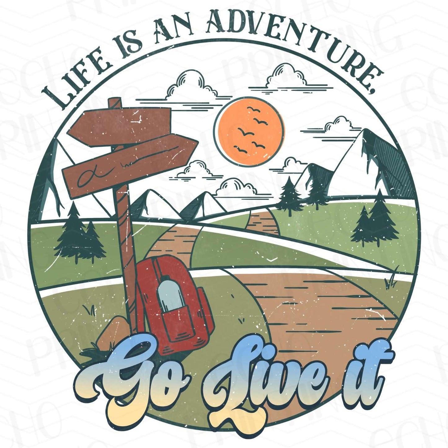 CMP 19 - LIFE IS AN ADVENTURE