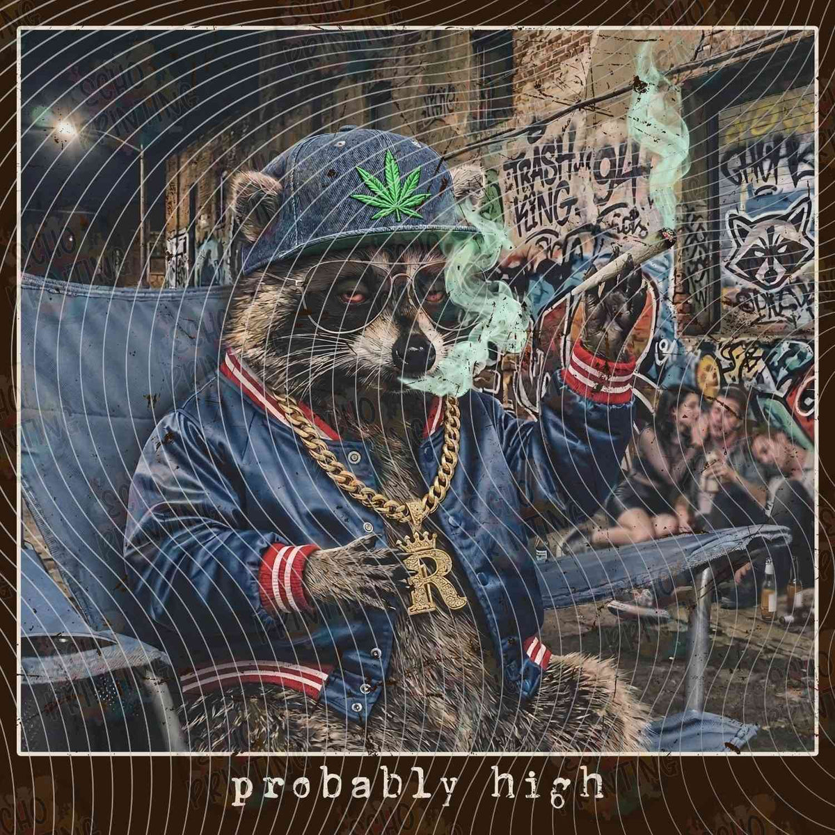 CNBG 78 - SMOKING RACCOON ART