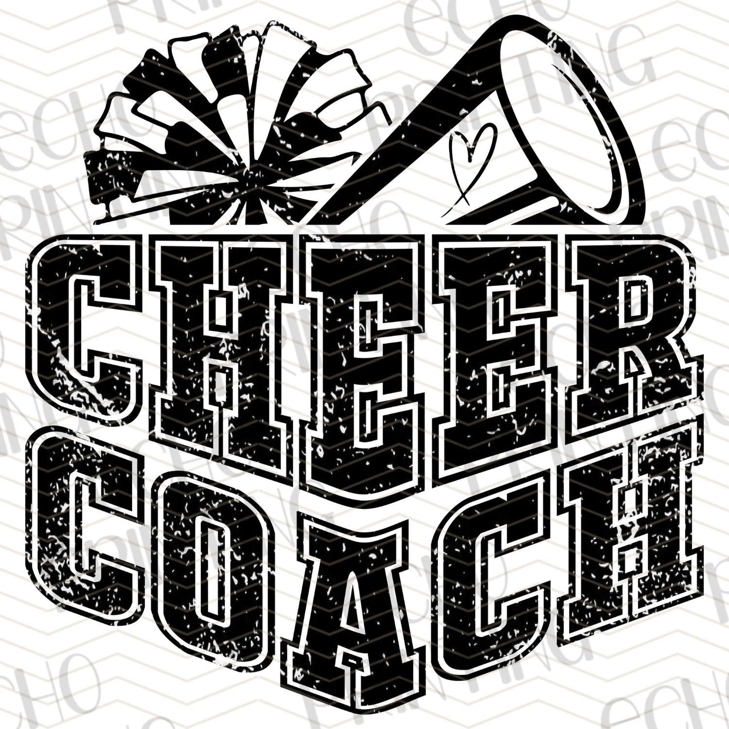 DCN 46 – CHEER COACH