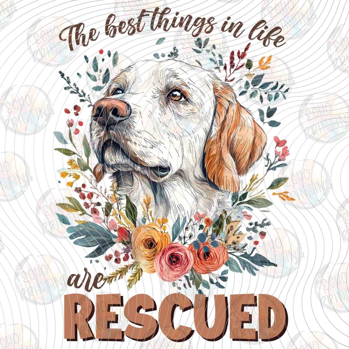 DGBSF 163 - BEST THINGS ARE RESCUED