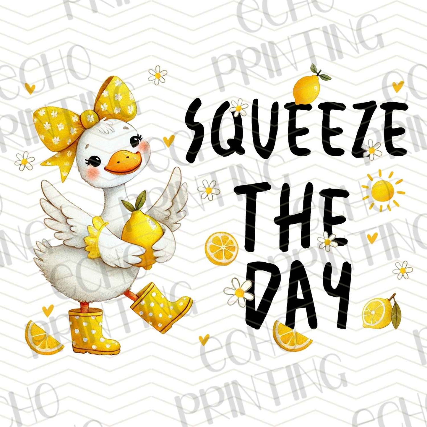 DNKG 72 - SQUEEZE THE DAY DUCK