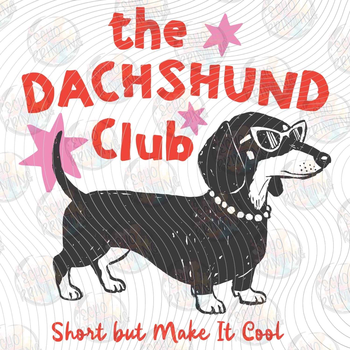 DOG 101 - THE DACHSHUND CLUB