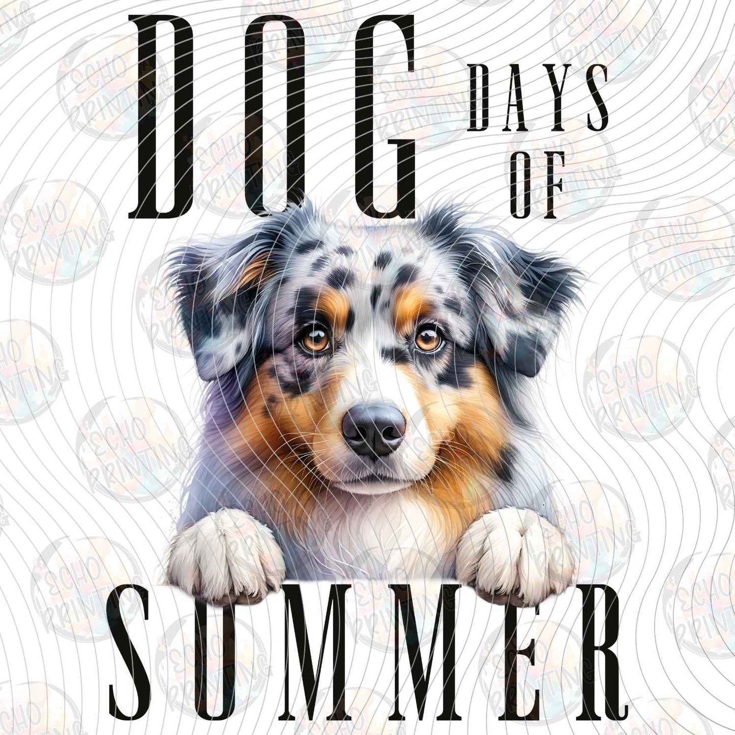 DOG 110 - AUSTRALIAN SHEPHERD DAYS OF SUMMER