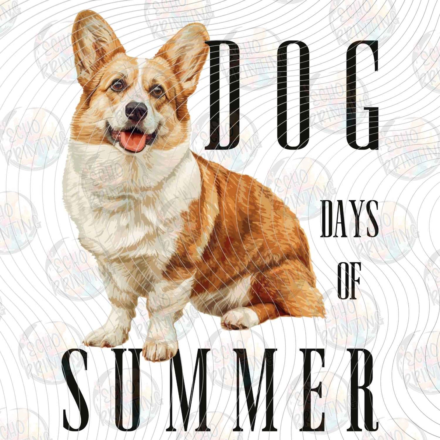 DOG 122 - CORGI DAYS OF SUMMER