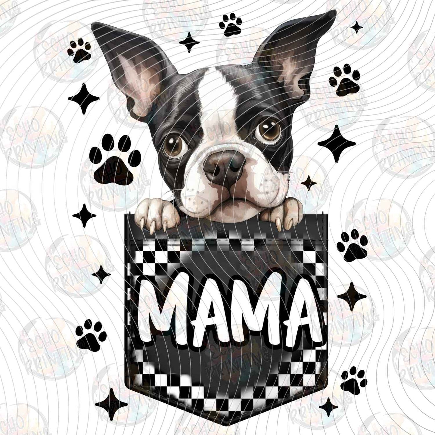 DOG 127 - BOSTON TERRIER MAMA