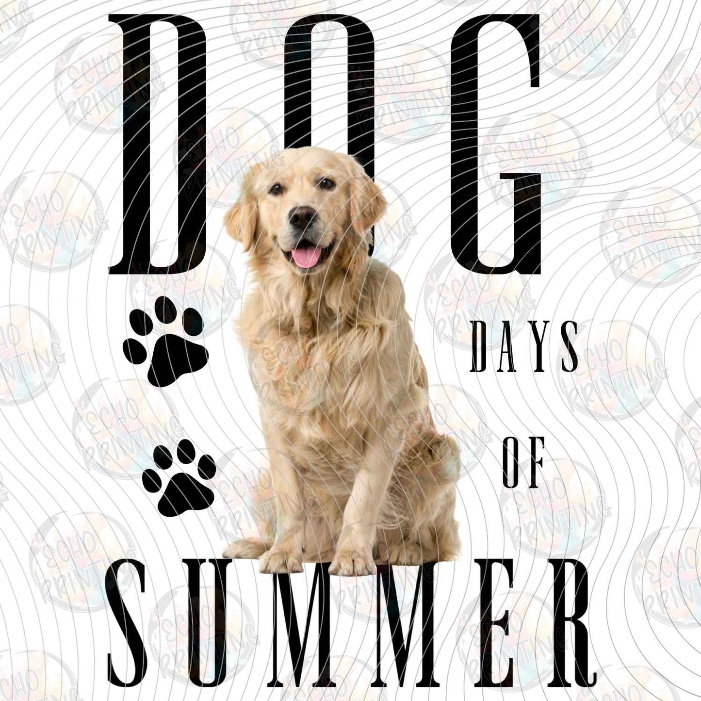 DOG 129 - GOLDEN RETRIEVER DAYS OF SUMMER