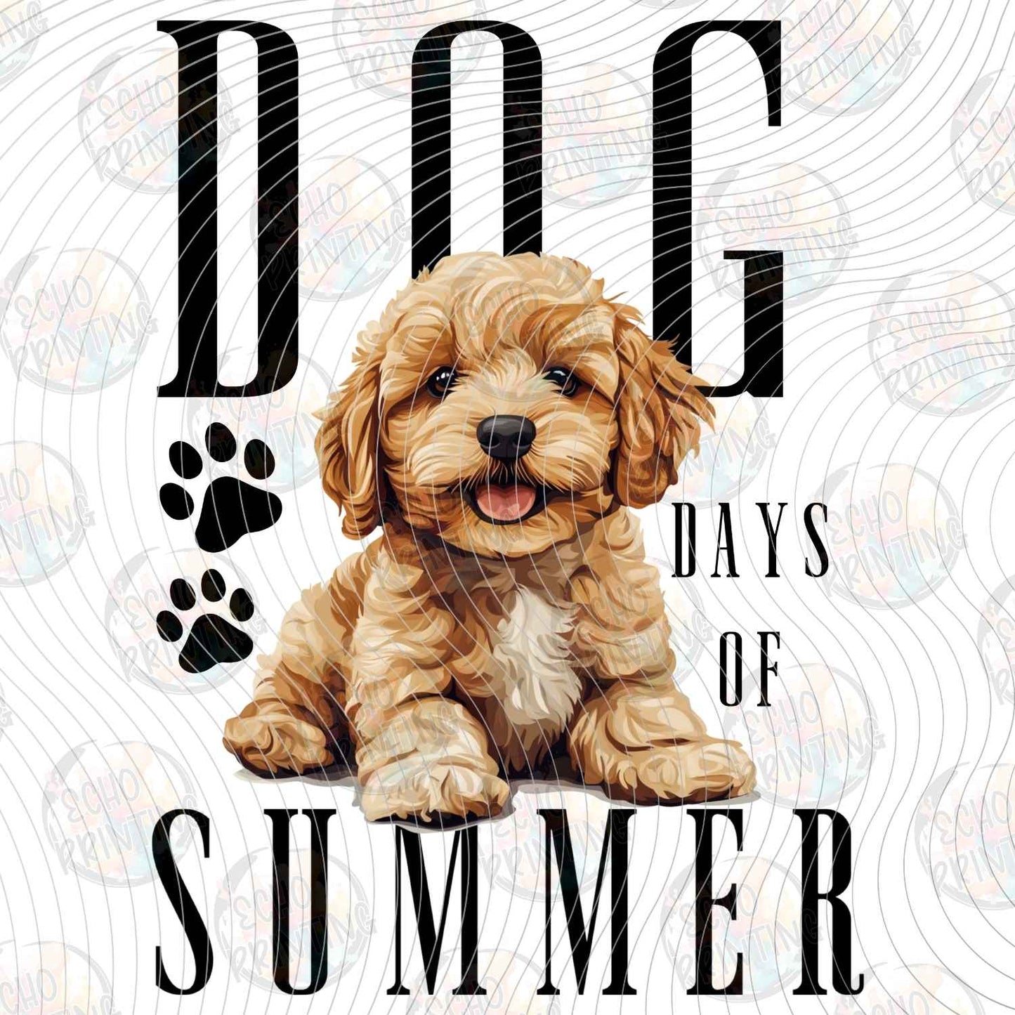 DOG 131 - COCKAPOO DAYS OF SUMMER