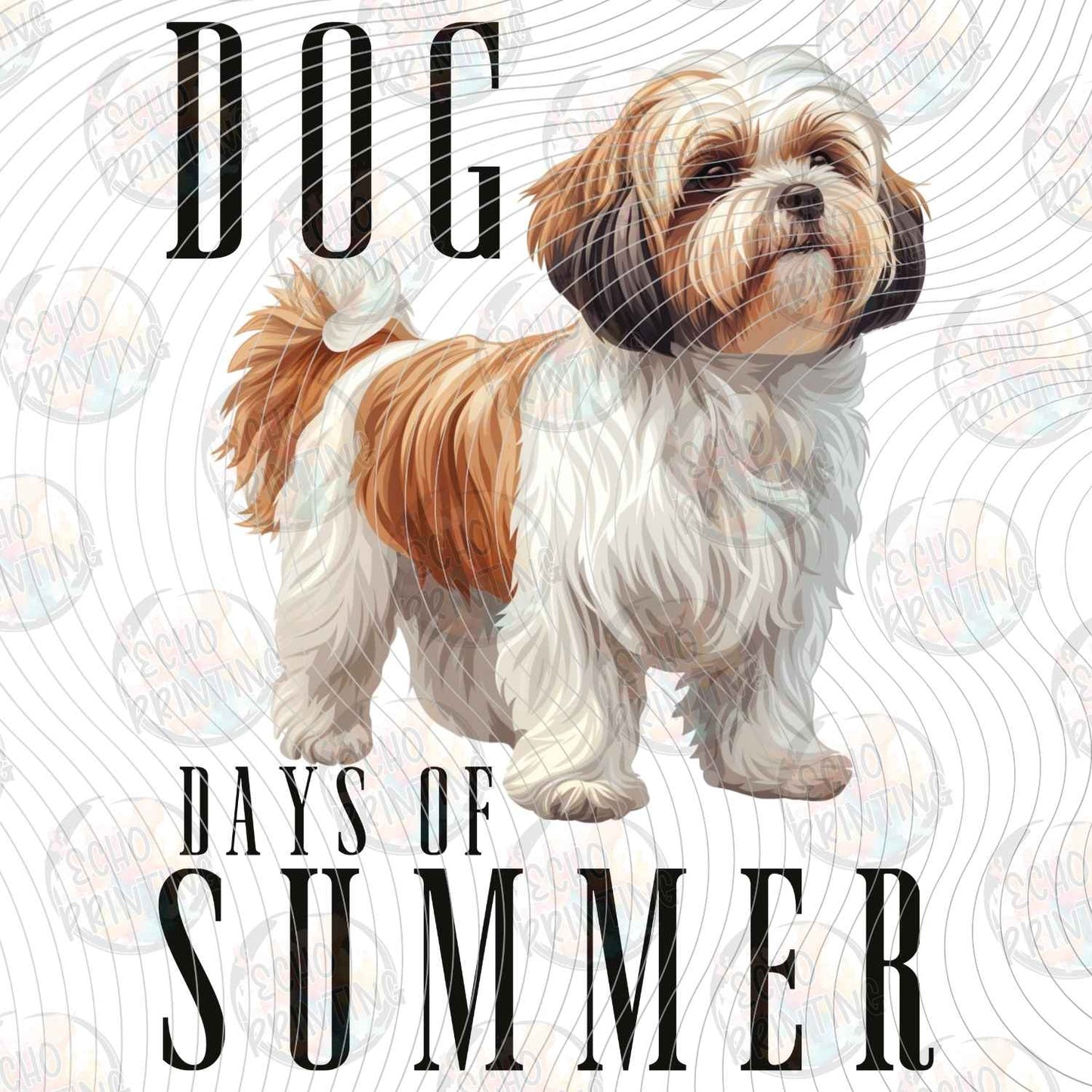 DOG 144 - SHIH TZU DAYS OF SUMMER TAN