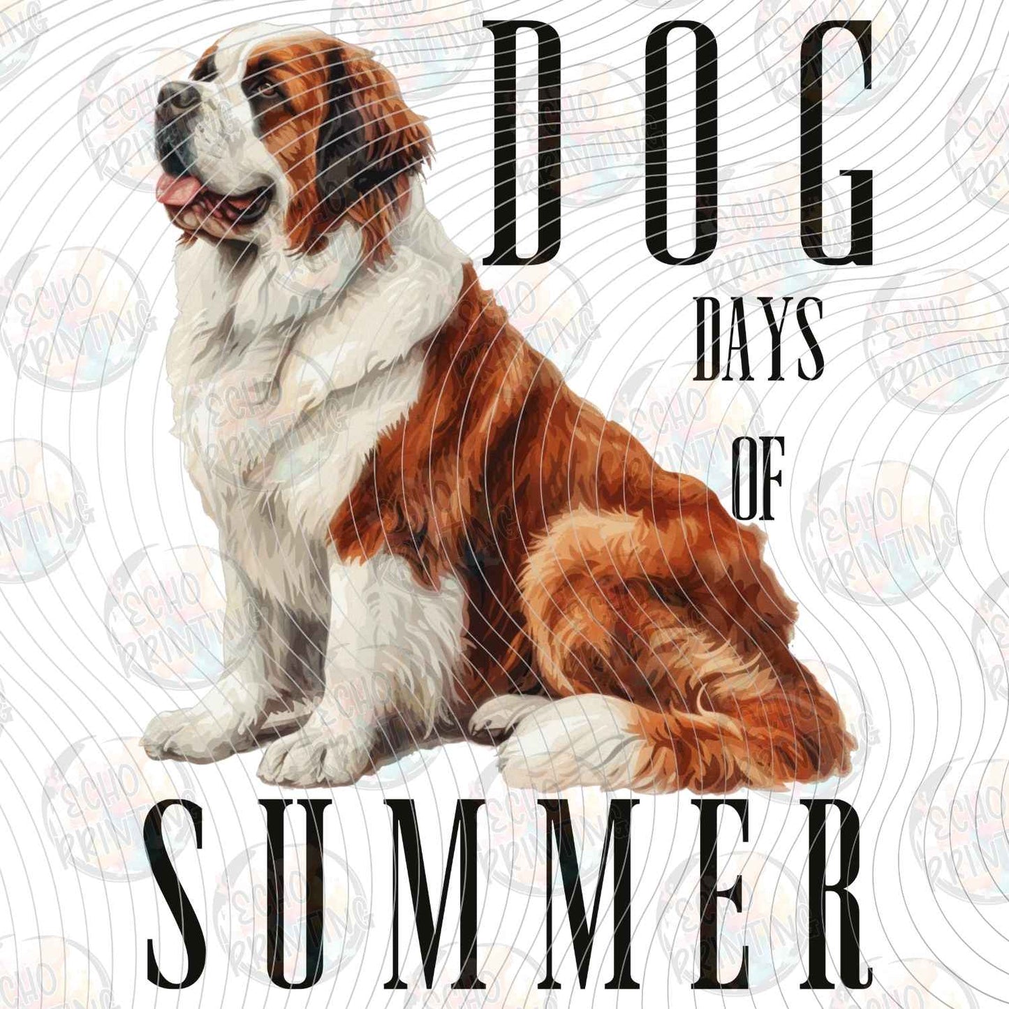 DOG 146 - SAINT BERNARD DAYS OF SUMMER