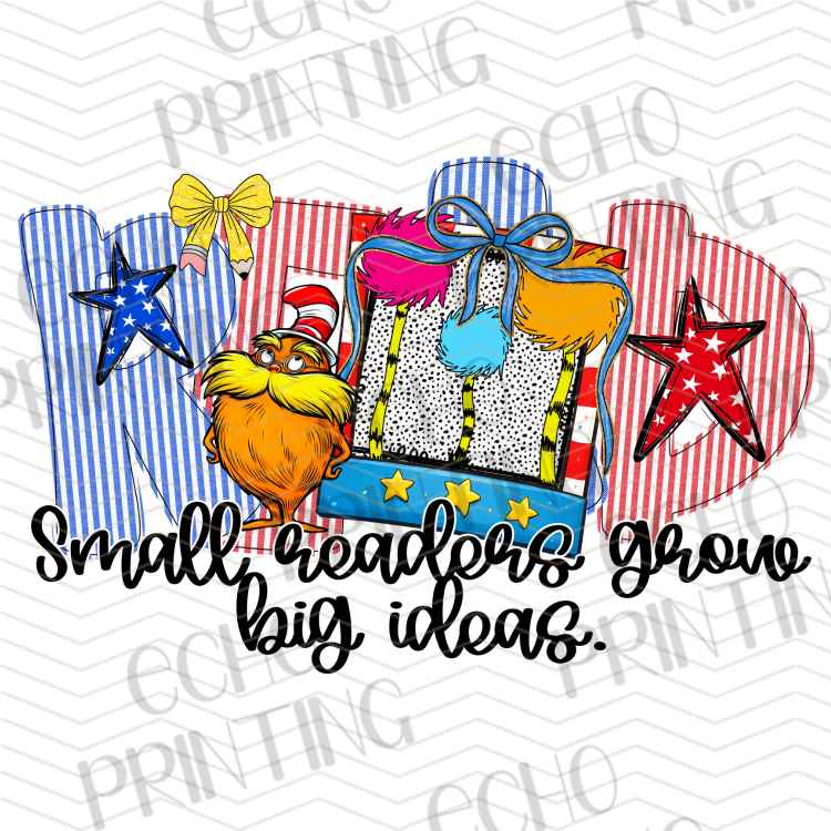 DRSS 316 - SMALL READERS BIG IDEAS