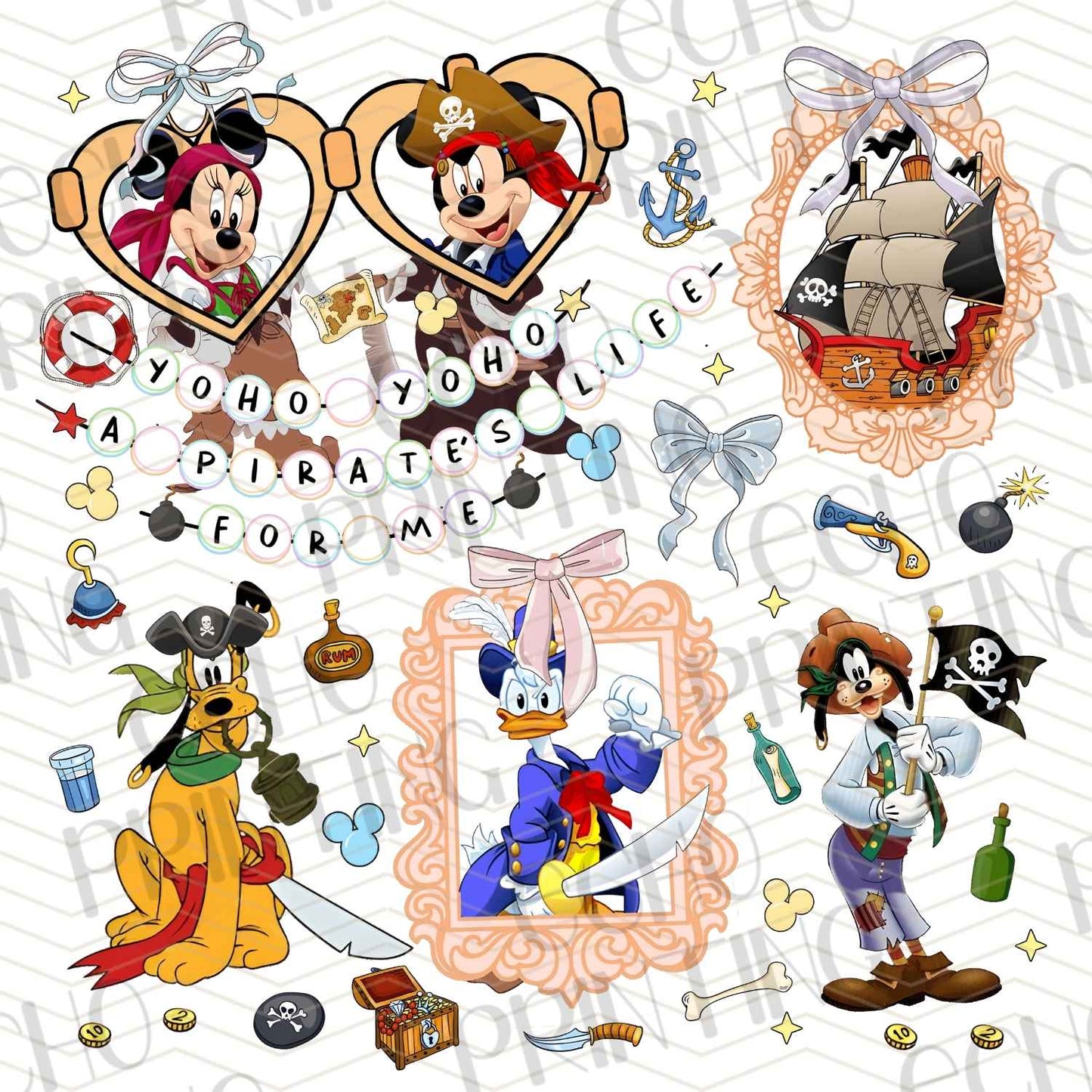 DSNC 1