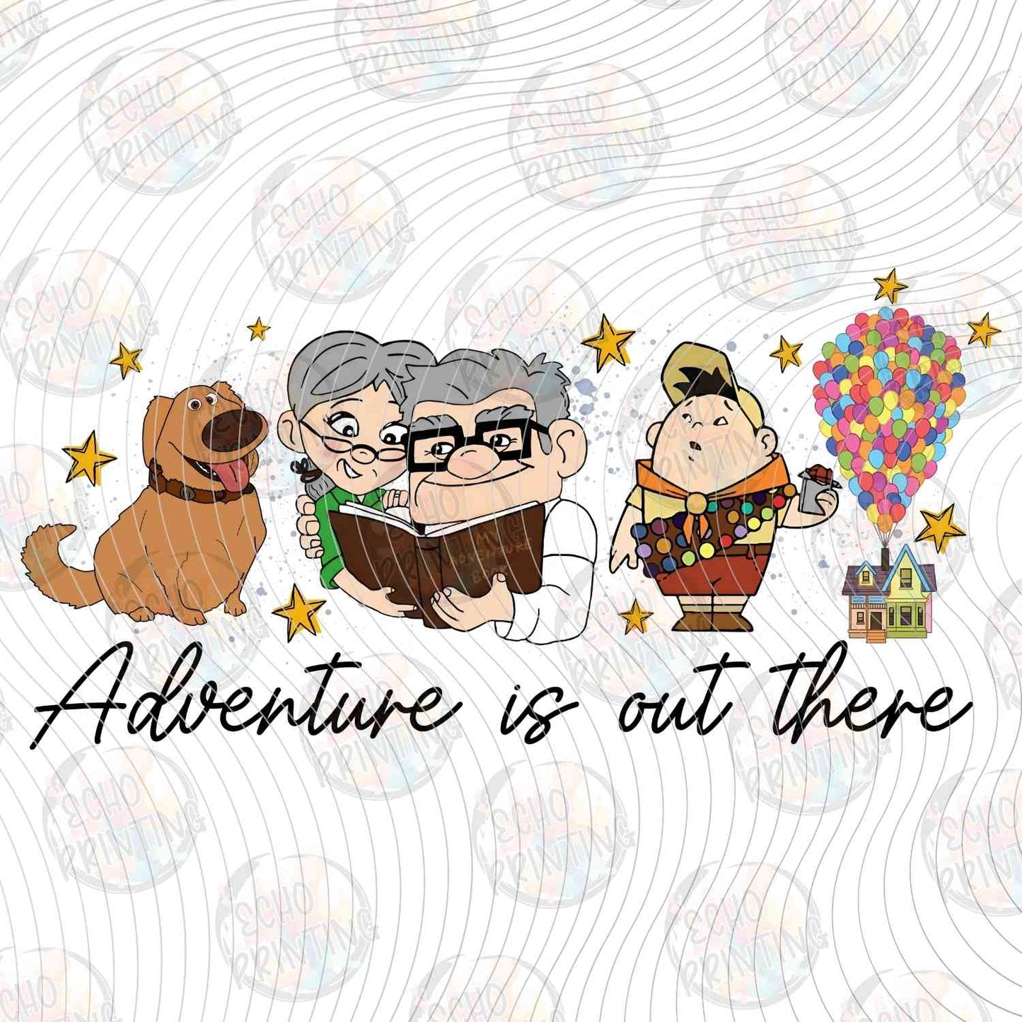 DSNG 787 - ADVENTURE COUPLE