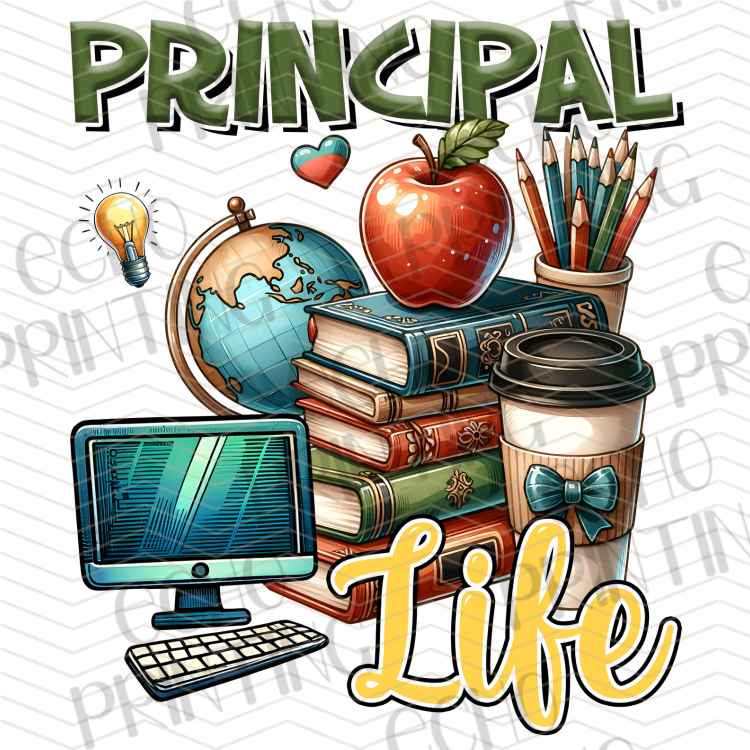 EDCTR 667 - PRINCIPAL LIFE SCHOOL LEADER