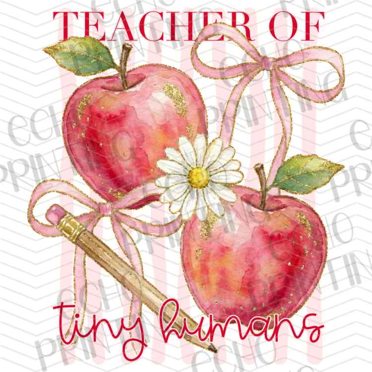 EDCTR 670 - TEACHER OF TINY HUMANS
