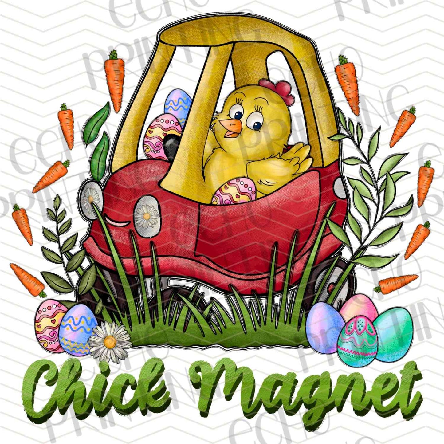 ESTRG 325 – CHICKS MAGNET TRUCK
