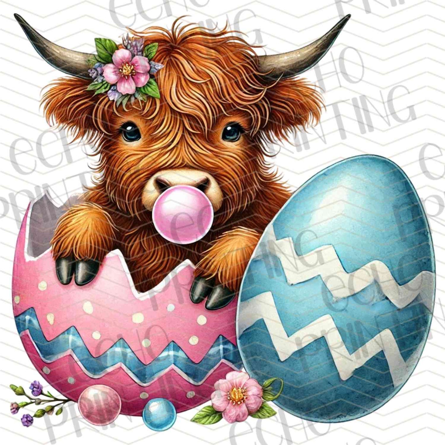 ESTRG 495 – HIGHLAND CALF IN EGG