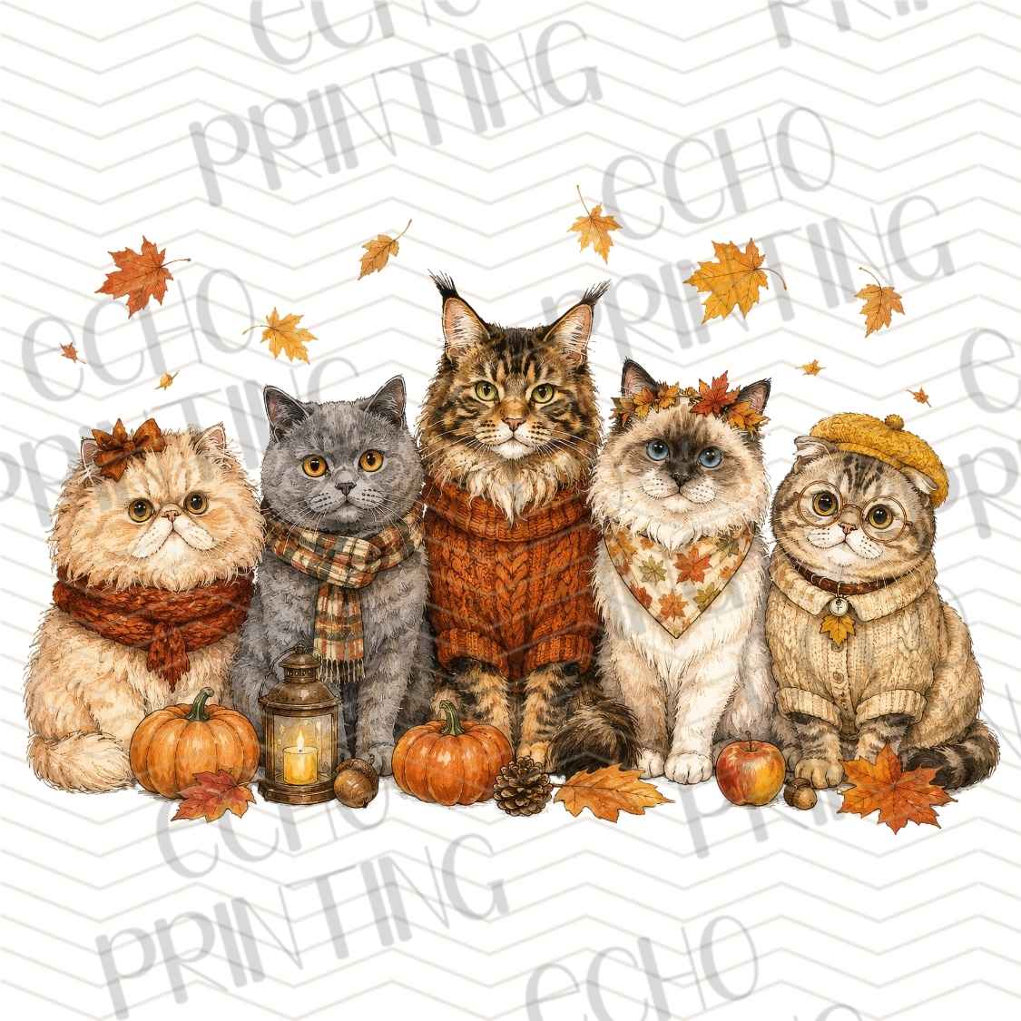 FLTK 1106 - AUTUMN CATS FRIENDS GROUP