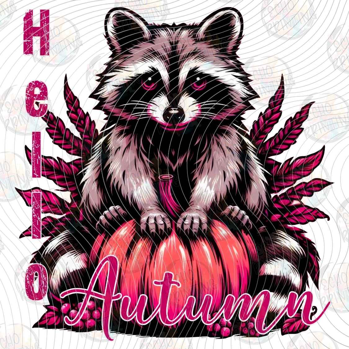 FLTK 1702 - HELLO AUTUMN RACCOON