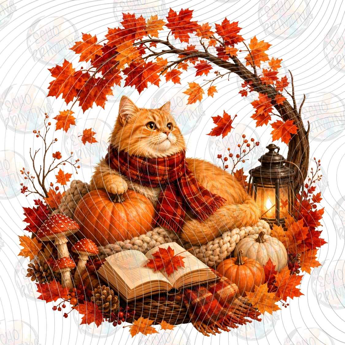 FLTK 1777 - READING FOX AUTUMN