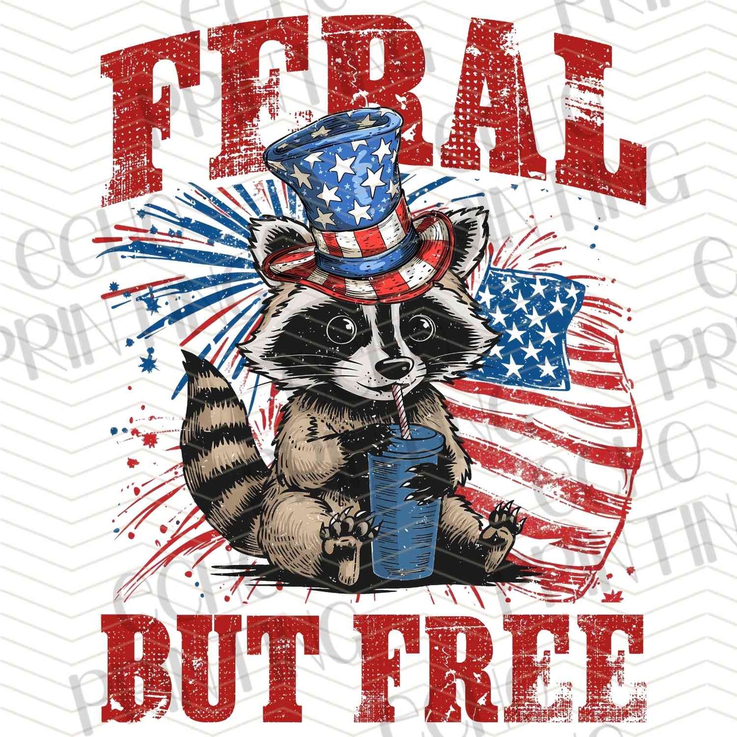 FOJG 191 - FERAL BUT FREE RACCOON