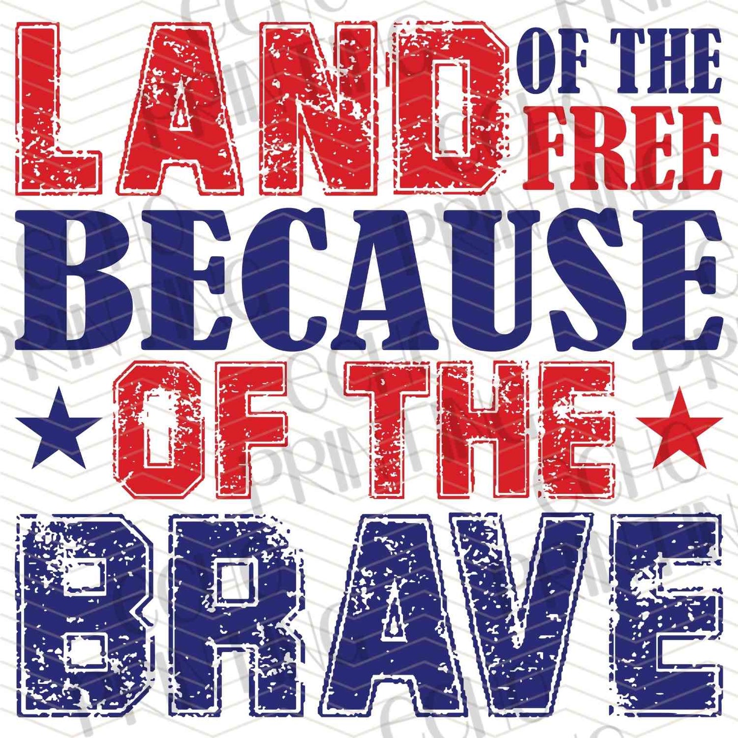 FOJG 207 - LAND FREE BRAVE