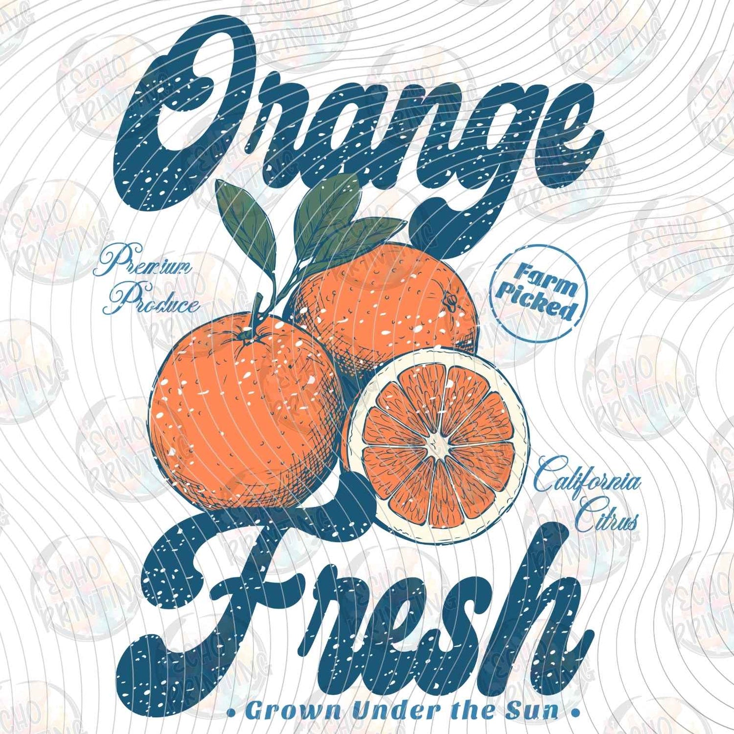 FRTS 82 - ORANGE FRESH CITRUS