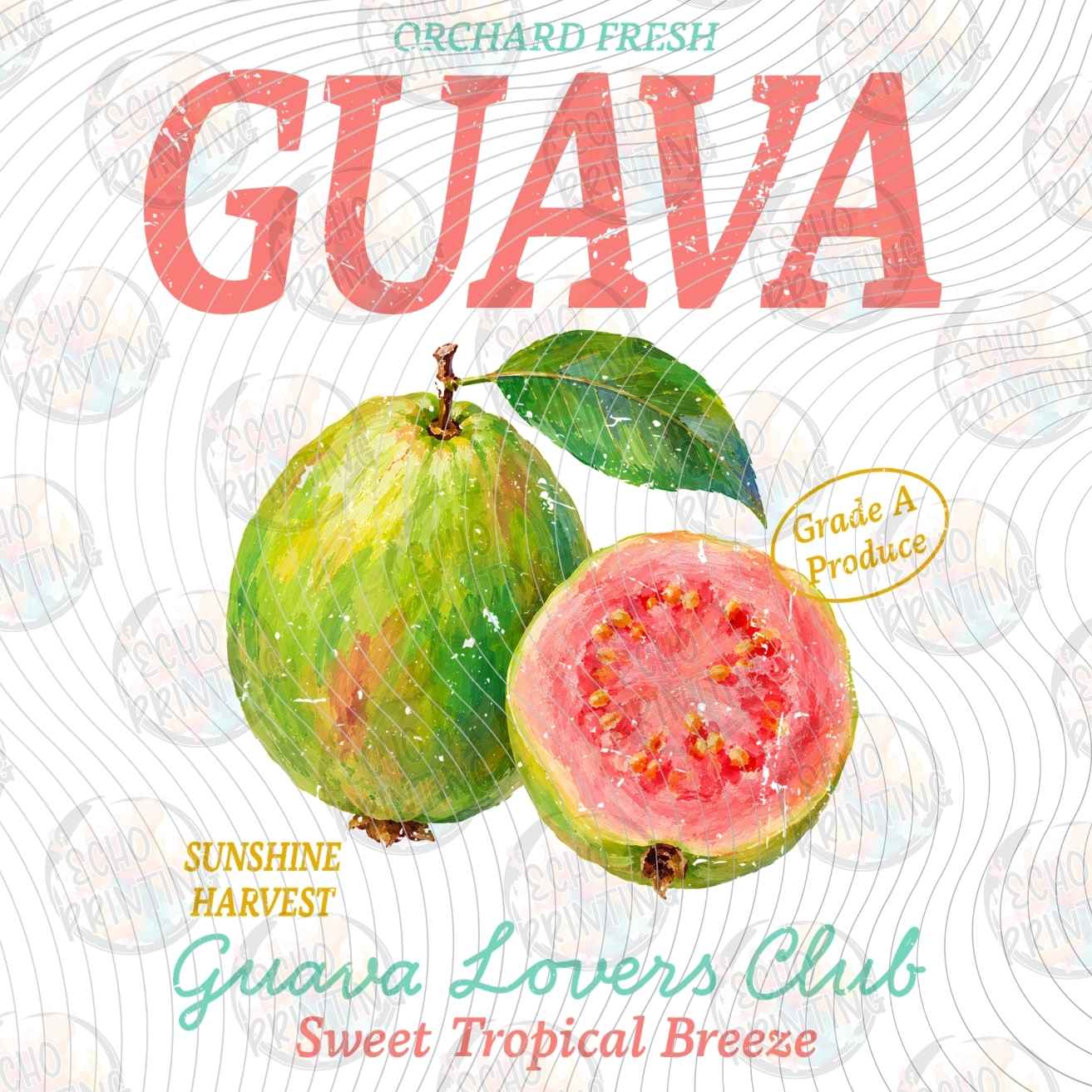 FRTS 99 - GUAVA VINTAGE FRUIT LABEL