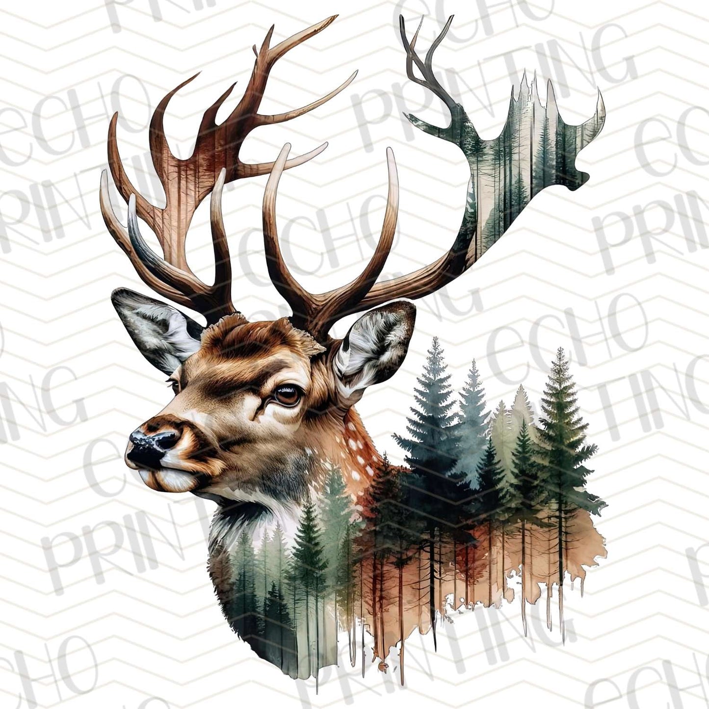 FSHT 126 – BUCK HEAD