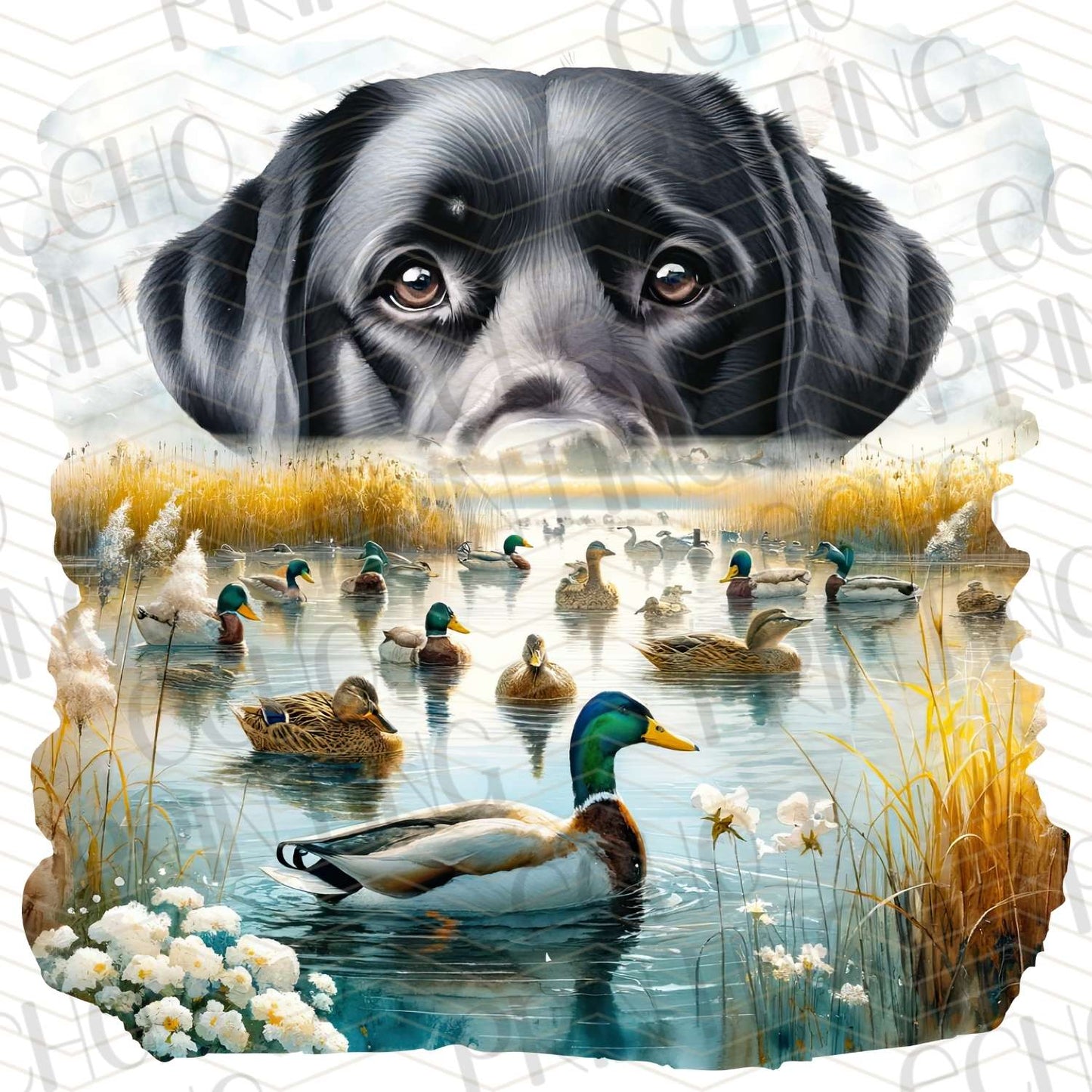 FSHT 144 – DUCK DOG RETRIEVER