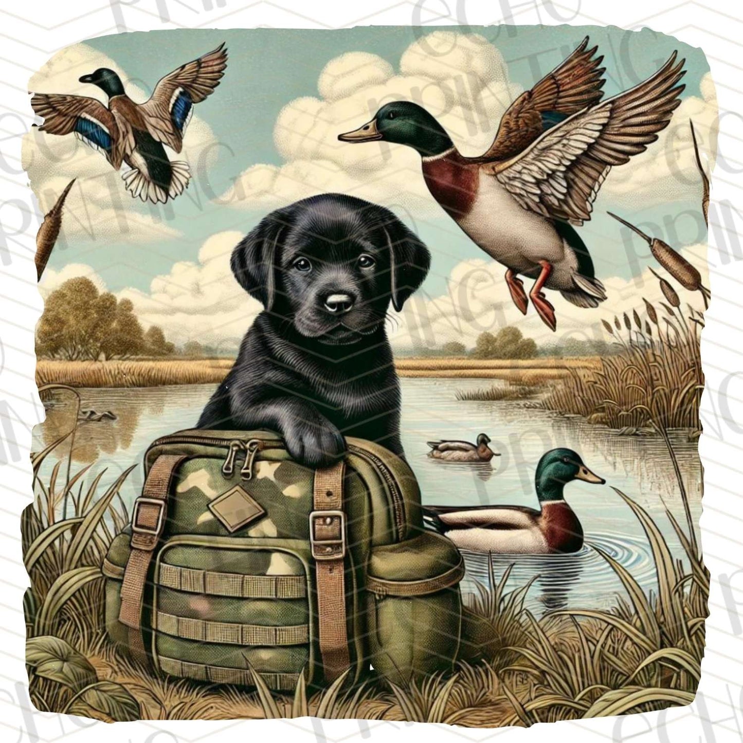 FSHT 148 – DOG CAMO RETRIEVER
