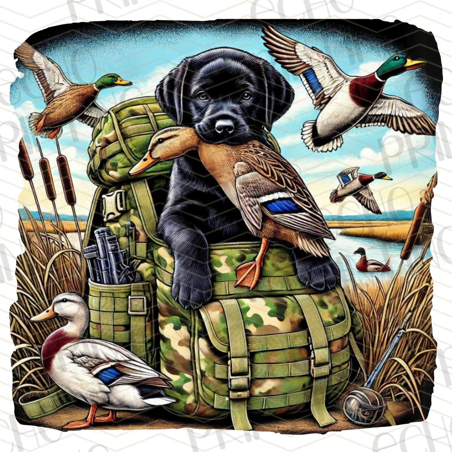 FSHT 149 – BLACK LAB FISHING